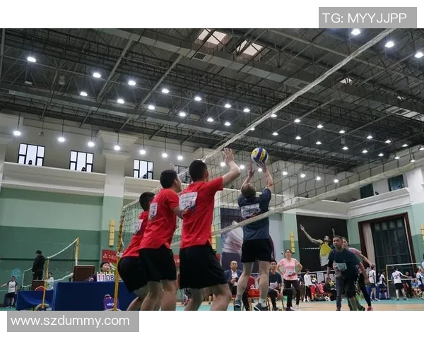 成都排球队的拼搏历程与荣耀之路全景回顾