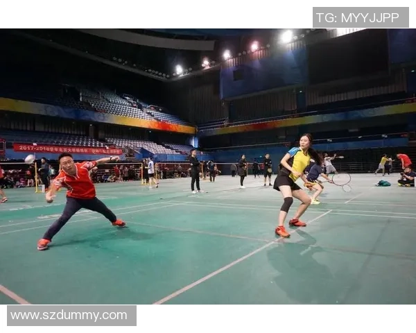 南京羽毛球队在精英赛中以61分稳居积分榜首位展现强劲实力